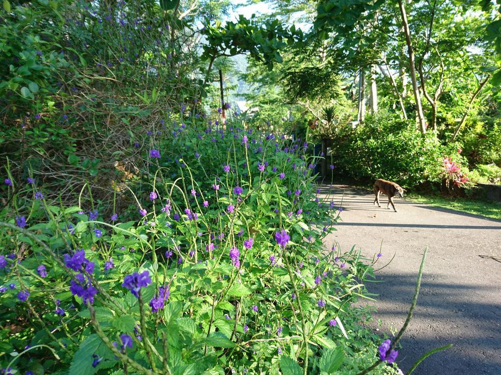 Ferienwohnung Flower And Green Collection Shunan Exterior foto